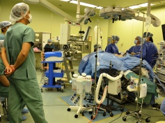 �c������̎ʐ^