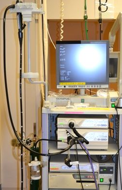 �������ʐ^