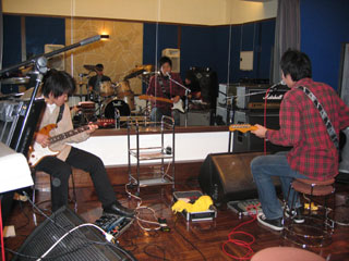 ���n�[�T�����̎ʐ^